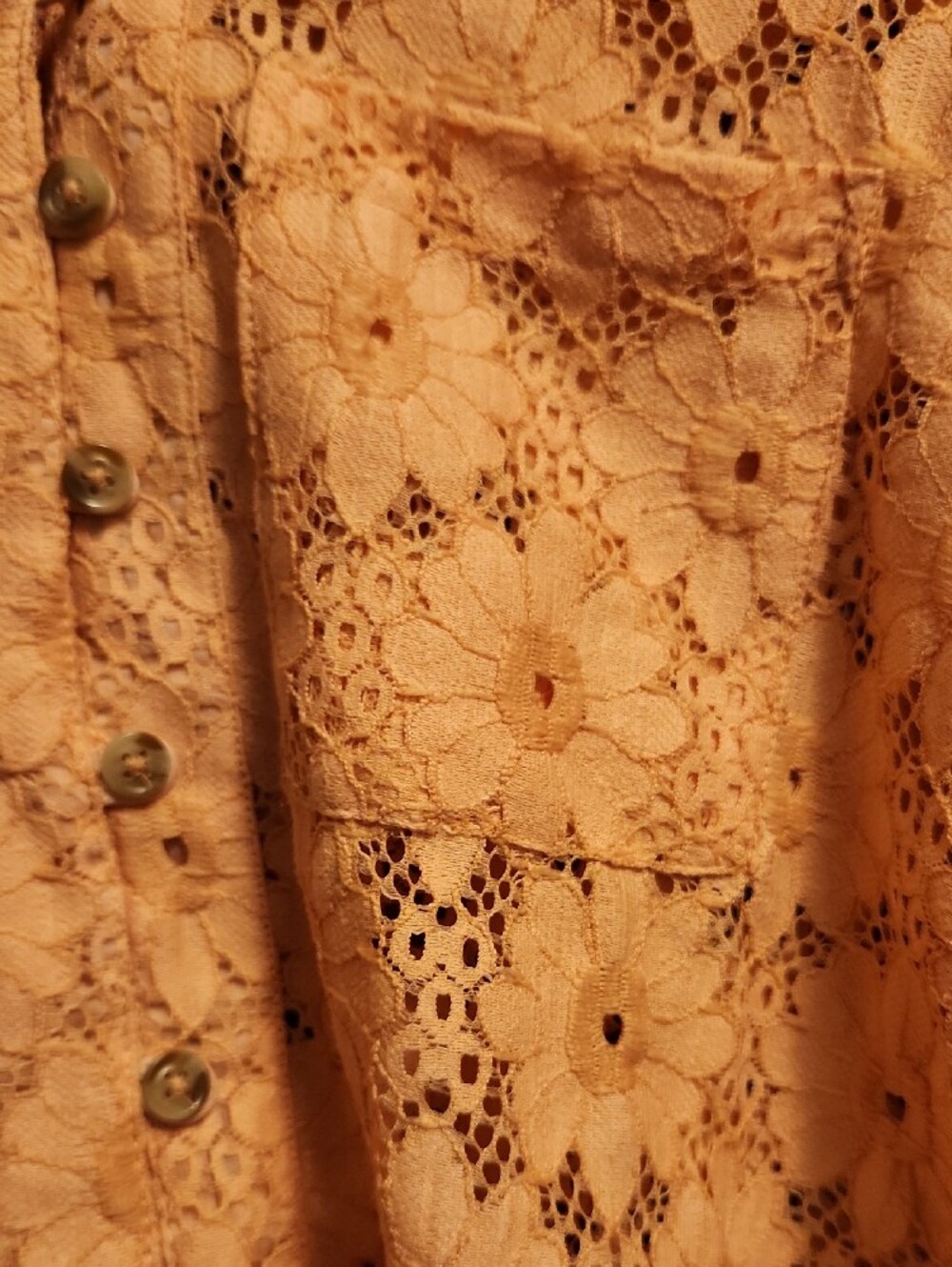 Pilcro Peach Eyelet Peter Pan Collar Keira Blouse - Picture 5 of 11
